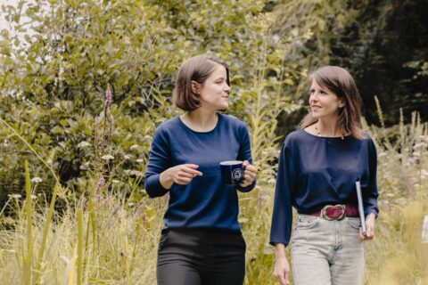 Symbolic picture for the article. The link opens the image in a large view.