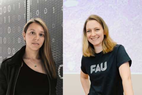 Symbolic picture for the article. The link opens the image in a large view.