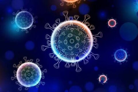 Towards entry "Virus uses same entry pathway into lung cells as earlier Covid-19 variants"