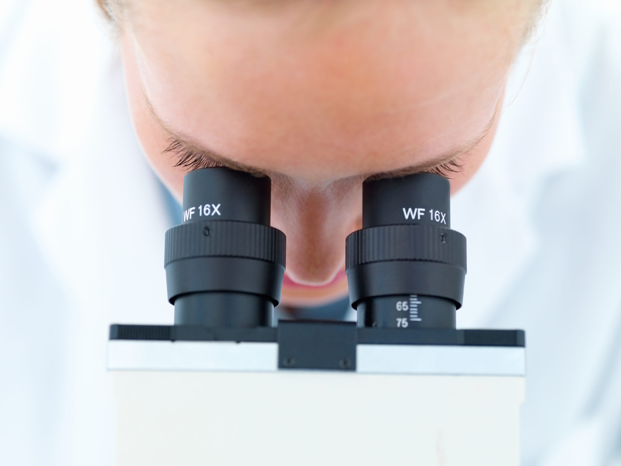 To the page:DFG projects