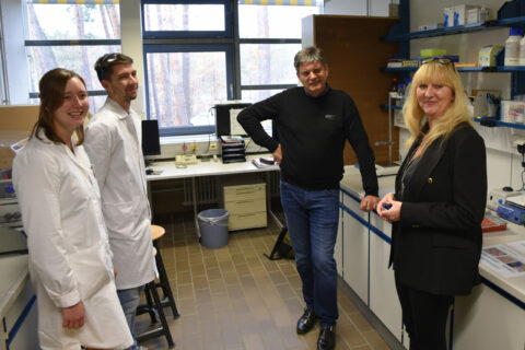 Symbolic picture for the article. The link opens the image in a large view.