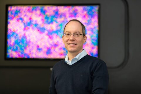 Towards entry "Mathematical models for new insights into the immune response"