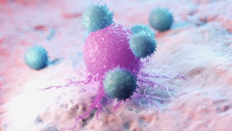 Symbolic picture for the article. The link opens the image in a large view.