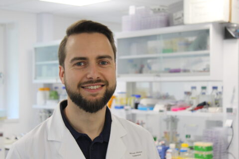 Towards entry "Radiotherapy vs. the immune system"