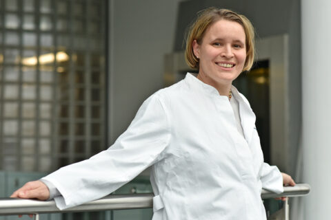 Symbolic picture for the article. The link opens the image in a large view.