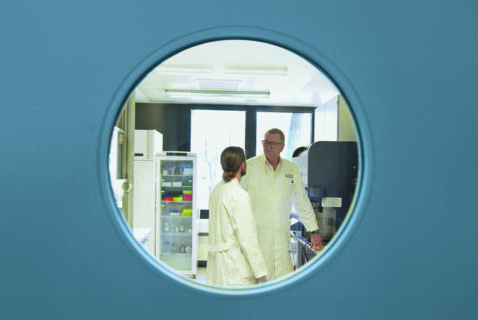 Symbolic picture for the article. The link opens the image in a large view.