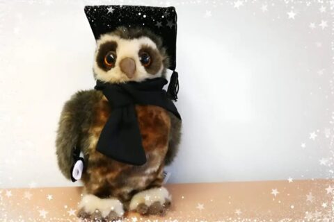 Symbolic picture for the article. The link opens the image in a large view.