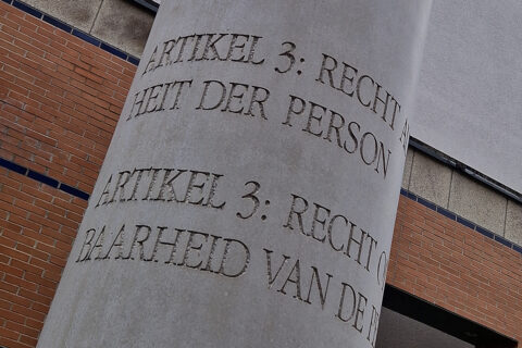 Towards entry "International Human Rights Day: Our rights, our future, right now!"