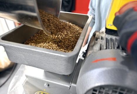 The malt must first be crushed. To do this, the different types of malt required for the various beers are weighed out and then crushed in the grist mill. (Photo: FAU/Harald Sippel)