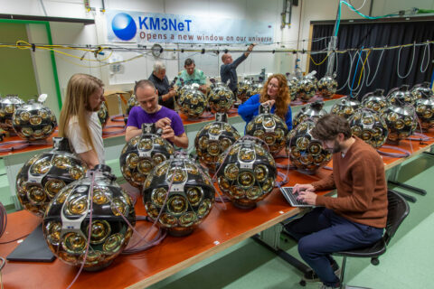 Two Detection Units (DU) during integration. Each DU contains 18 spherical optical modules. (Image: Marco Kraan_Nikhef)