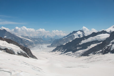 View from the Jungfraujoch over the Great Aletsch Glacier, Alps. (Photo: Christian Sommer)