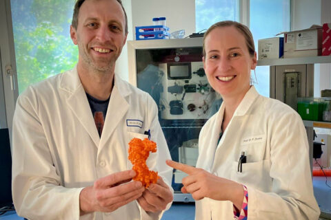 Towards entry "On the trail of Parkinson’s using an electron microscope"