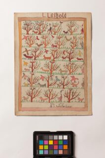 School history collection (Image: FAU)