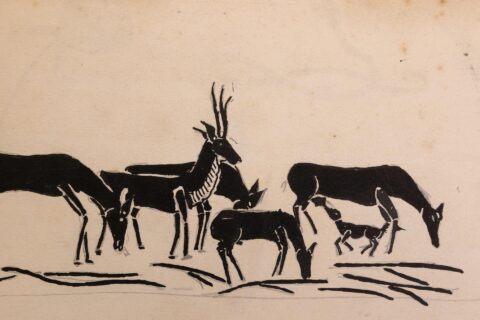 School history collection (Image: FAU)