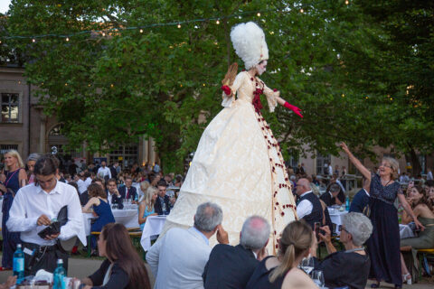 69. Schlossgartenfest (Bild: FAU/Georg Pöhlein)