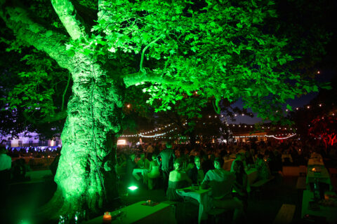 69. Schlossgartenfest (Bild: FAU/Georg Pöhlein)