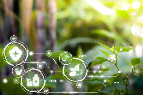 Towards entry "Sustainable synthesis of biomolecules and pharmaceuticals"