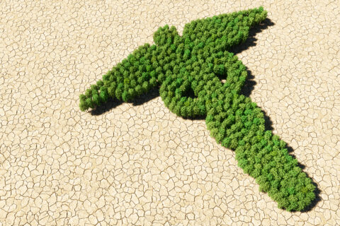 Symbolic picture for the article. The link opens the image in a large view.