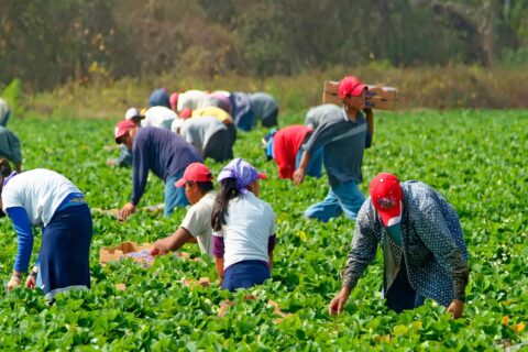 Towards entry "Pay gap: Immigrants experience difficulties in accessing better-paid jobs"