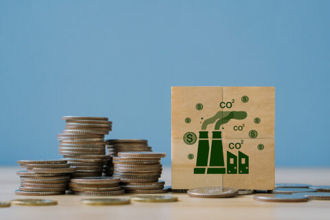 Towards entry "Study: CO2 tax often governed by fiscal policy rather than climate policy"