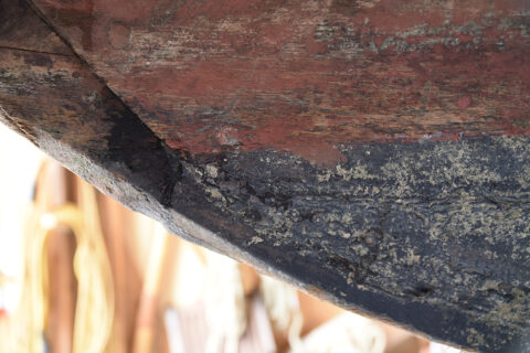 The Danuvina alacris in the shipyard (Image: FAU/Boris Mijat)