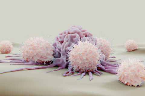 Towards entry "Killer cells How the immune system selects its defense troops"