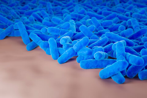 Towards entry "New research project: How bacteria stick together"